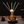 Reed Diffuser Bernsteinglas Rattan Nacht die nach Harz duftet