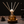 Reed Diffuser Bernsteinglas Rattan Nacht die nach Harz duftet