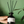 Duftöl Aromatherapie 50ml Wohnzimmer Stille die man einatmet